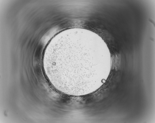 X0000103940195200810031330