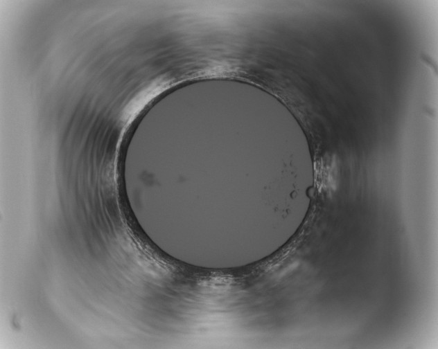 X0000103940196200810031330