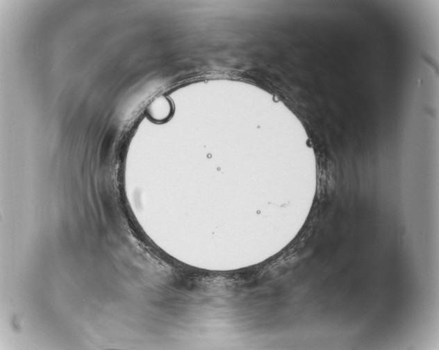 X0000103940197200810031330