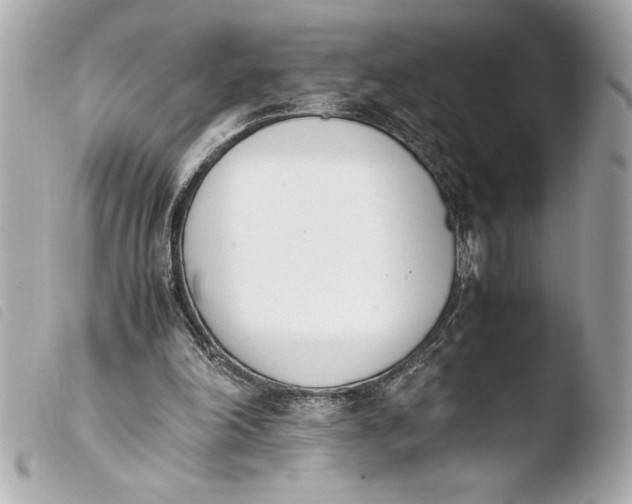 X0000103940198200810031330