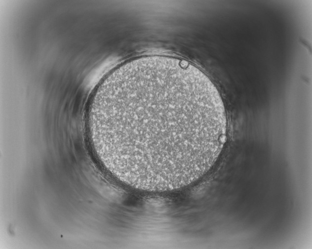 X0000103940199200810031330