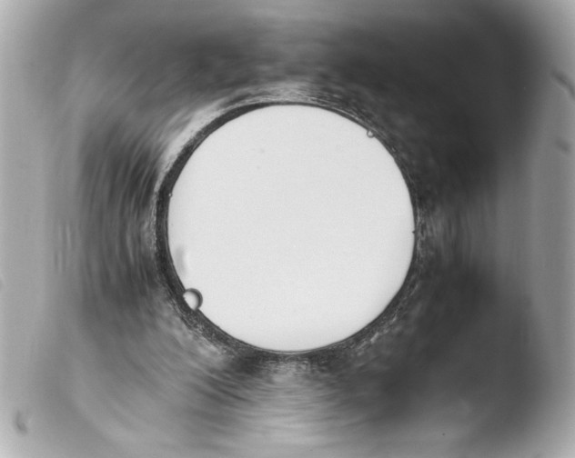 X0000103940200200810031330