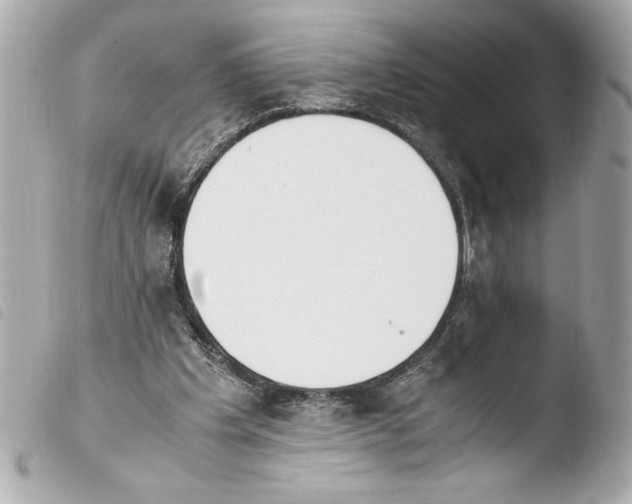 X0000103940201200810031330