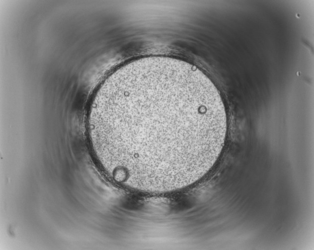 X0000103940203200810031330