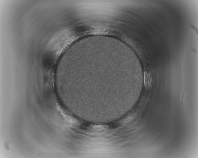 X0000103940205200810031330