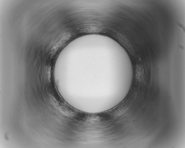 X0000103940206200810031330