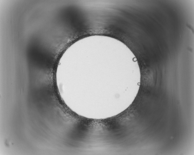 X0000103940207200810031330