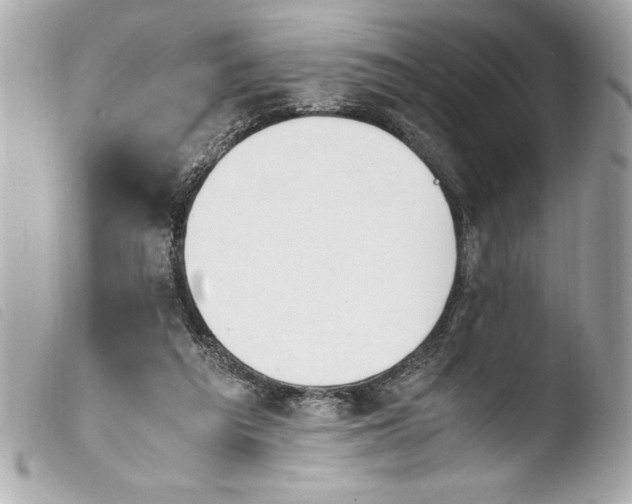 X0000103940209200810031330