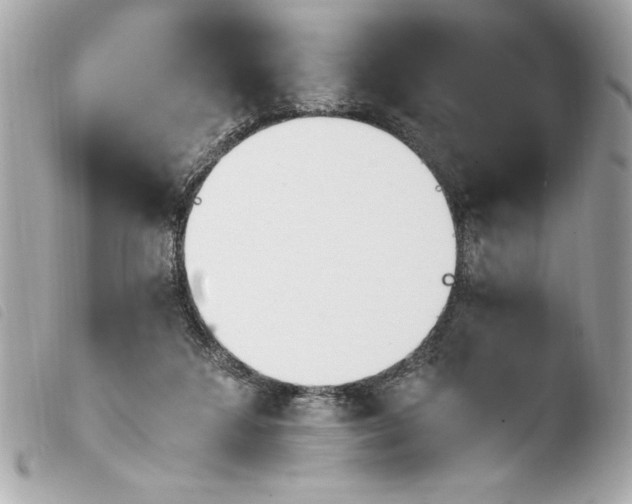 X0000103940211200810031330