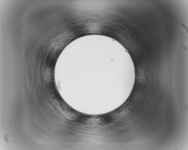 X0000103940213200810031330