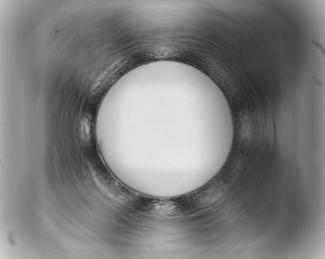 X0000103940214200810031330