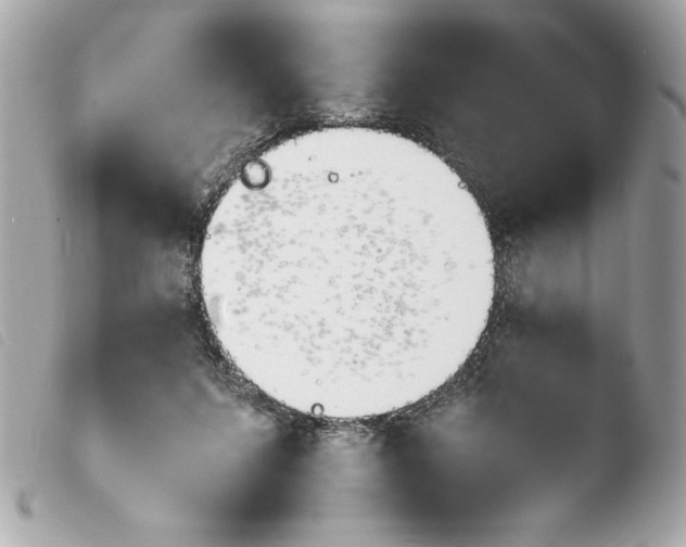 X0000103940215200810031330