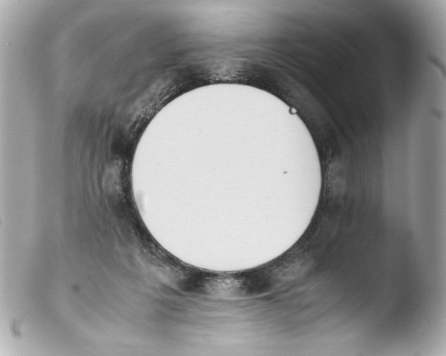 X0000103940217200810031330