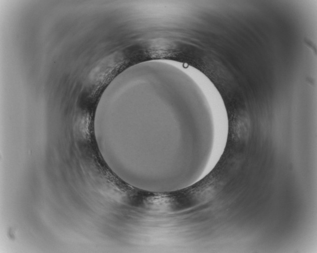 X0000103940219200810031330