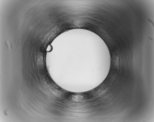 X0000103940220200810031330