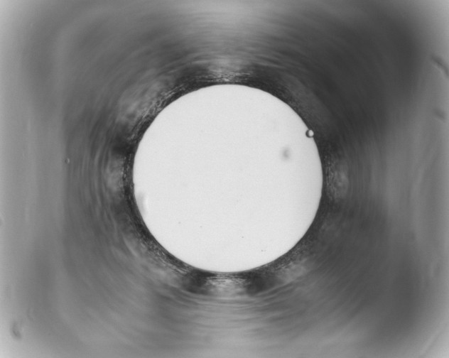 X0000103940221200810031329