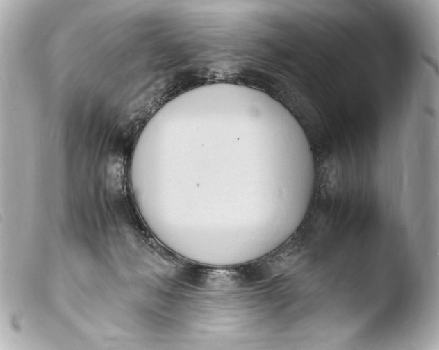 X0000103940222200810031329