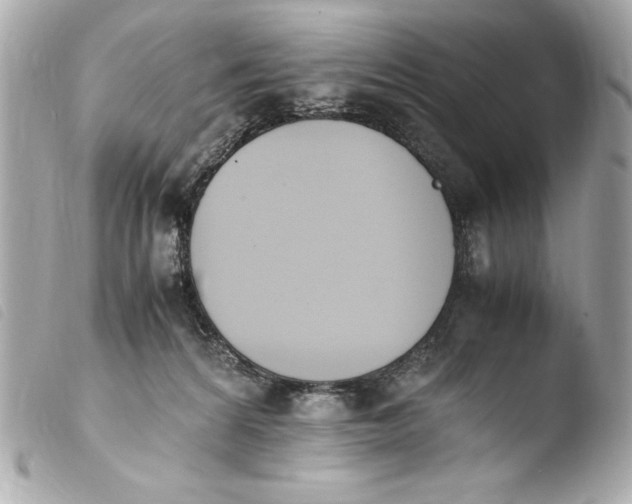 X0000103940224200810031329