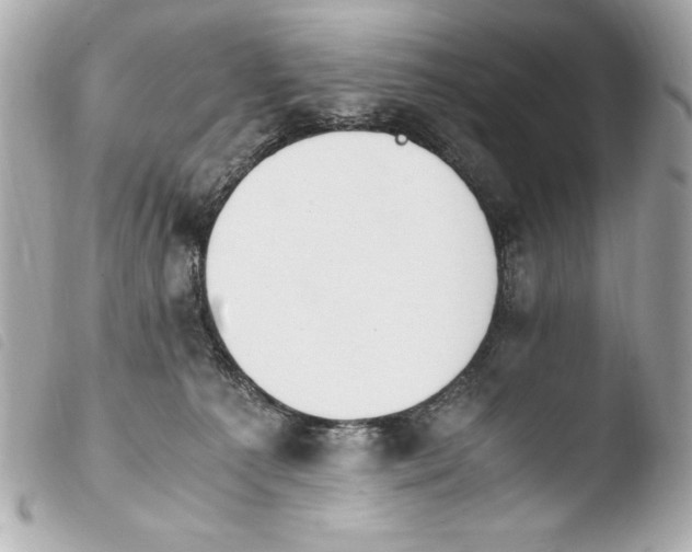 X0000103940225200810031329