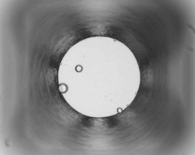 X0000103940229200810031329