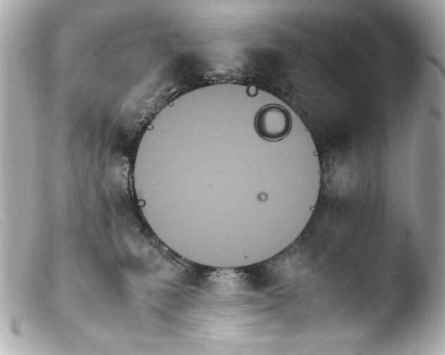 X0000103940231200810031329