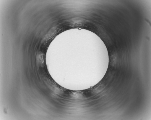 X0000103940232200810031329