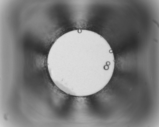 X0000103940233200810031329