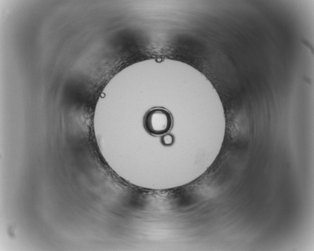 X0000103940235200810031329