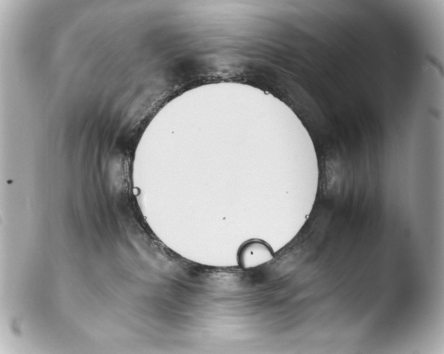 X0000103940236200810031329