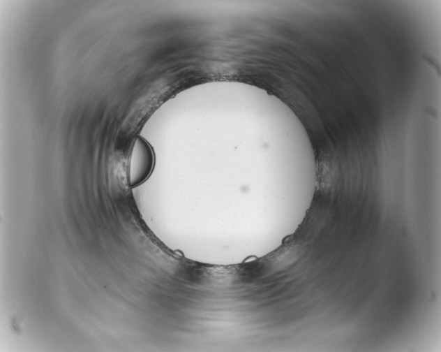 X0000103940238200810031329