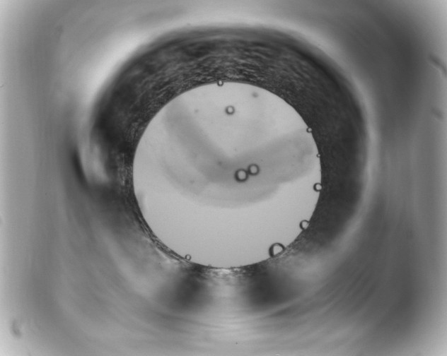 X0000103940239200810031329