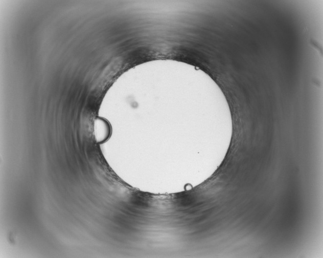 X0000103940240200810031329