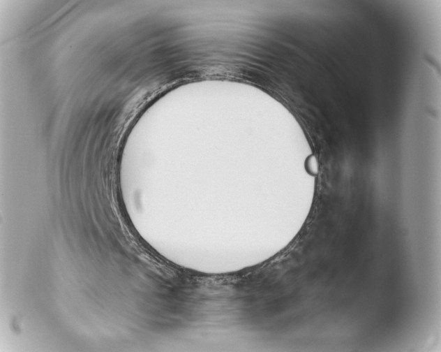 X0000103940241200810031329