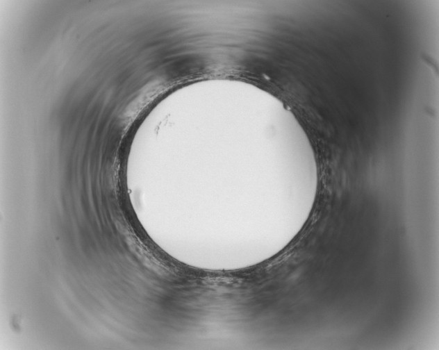 X0000103940242200810031329