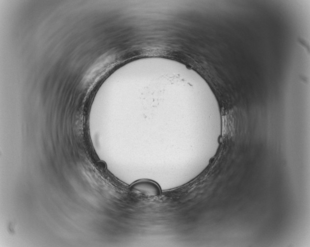 X0000103940243200810031329