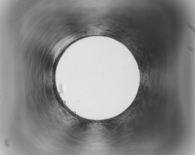 X0000103940244200810031329