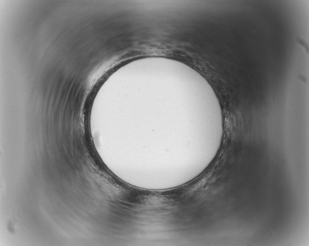 X0000103940246200810031329