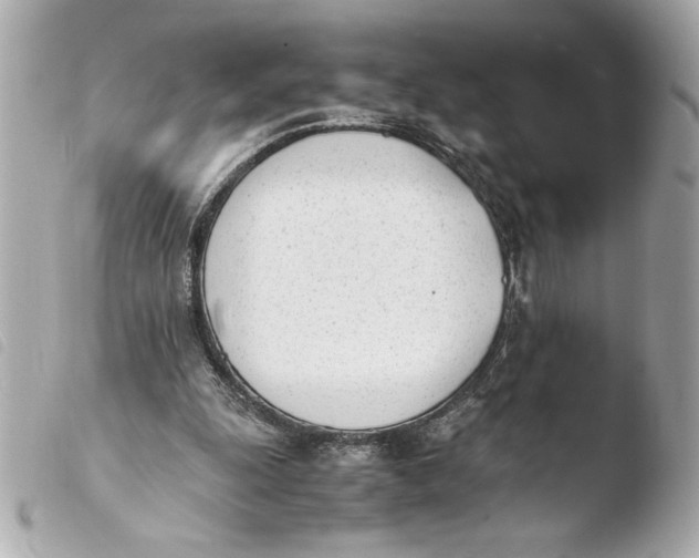 X0000103940247200810031329