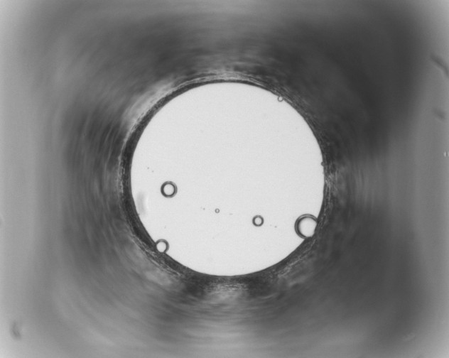 X0000103940248200810031329