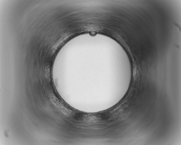 X0000103940249200810031329