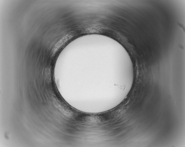 X0000103940250200810031329