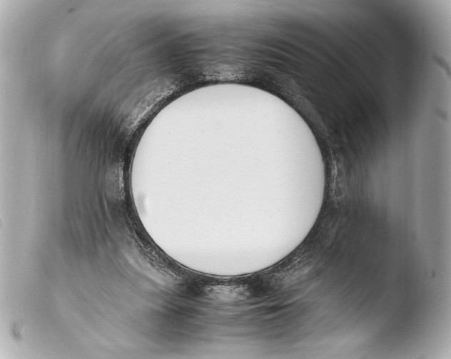 X0000103940251200810031329