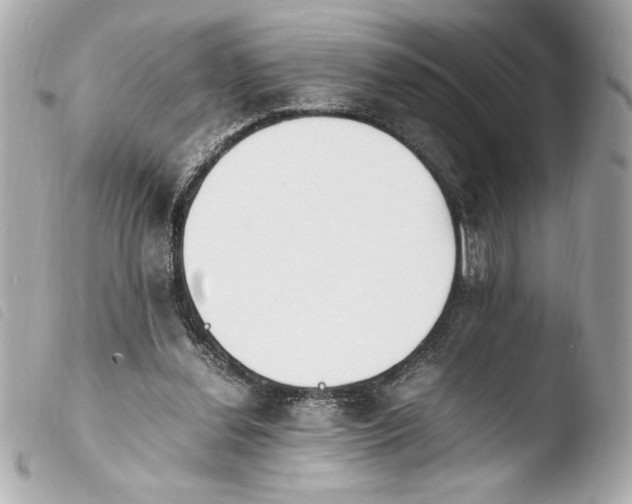 X0000103940252200810031329