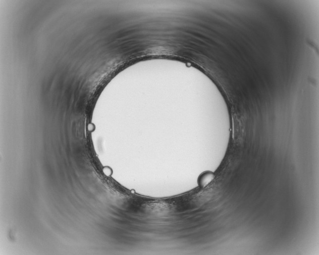 X0000103940253200810031329