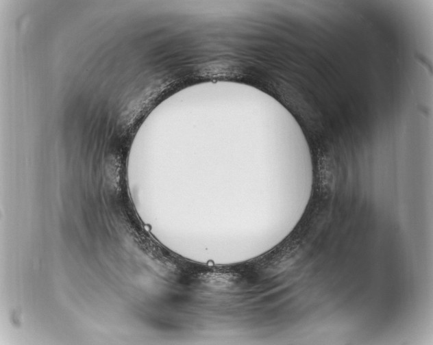 X0000103940255200810031329