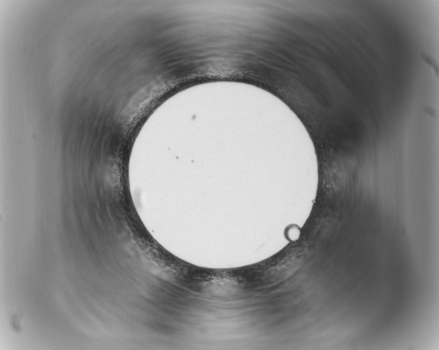 X0000103940256200810031329