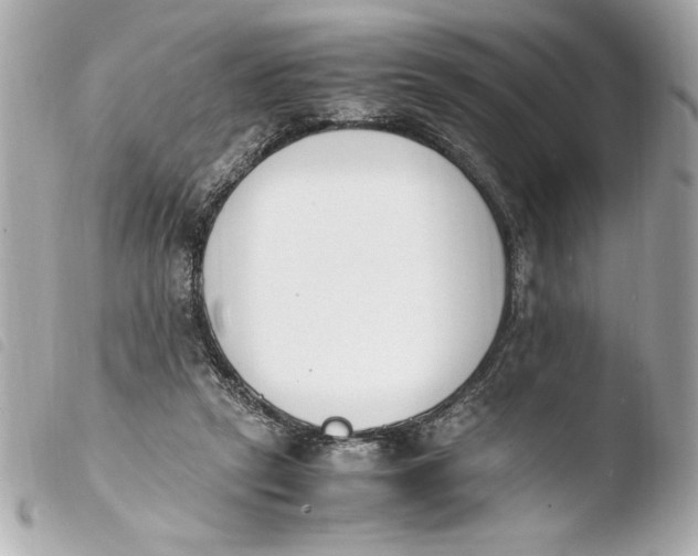 X0000103940257200810031329