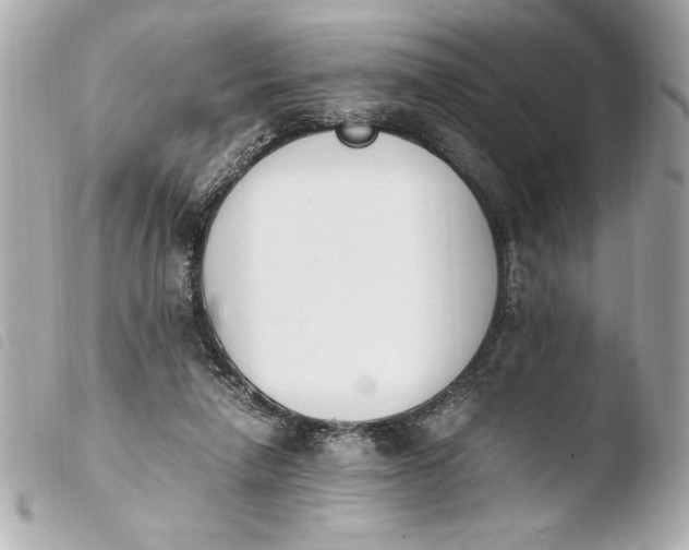 X0000103940258200810031329