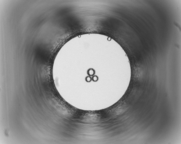 X0000103940260200810031329