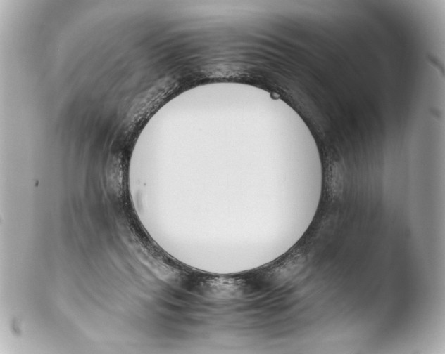 X0000103940261200810031329